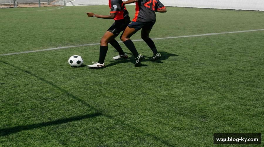 开云·体育(Kaiyun)官方网站_KAIYUN SPORTS